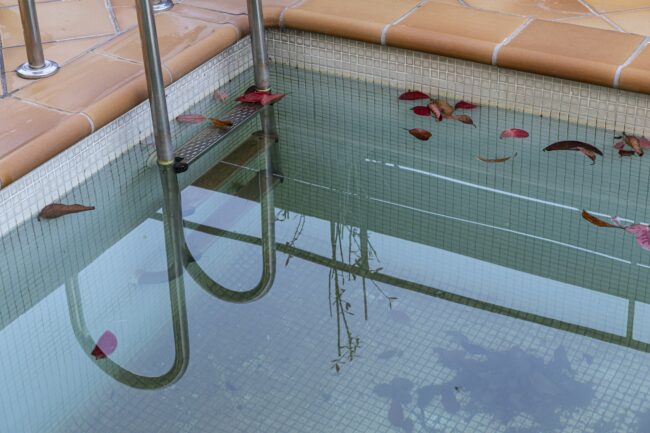 Swimming Pool Free of Leaves